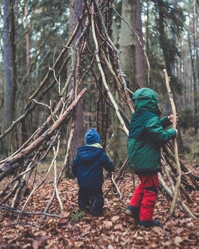 Children playing in the woods